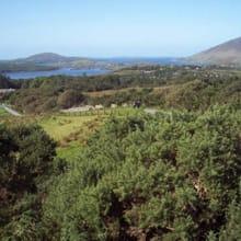 Connemara National Park thumb