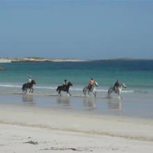 The Point Pony trekking centre thumb